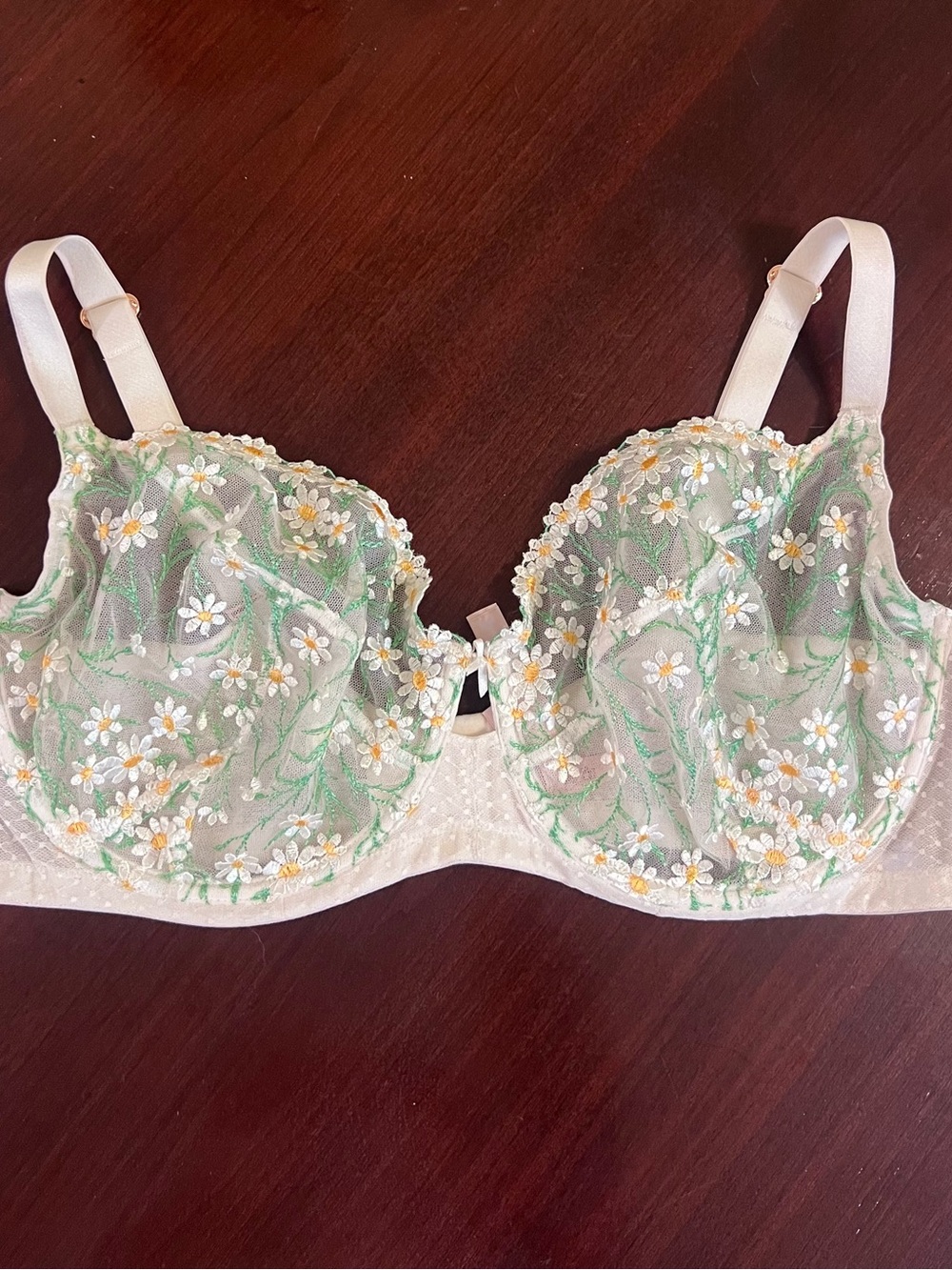 Victoria’s Secret Dream Angels Wicked Unlined Sheer Mesh Daisy Embroidered Bra